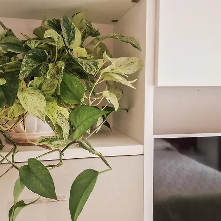 Da Mary Apartman *